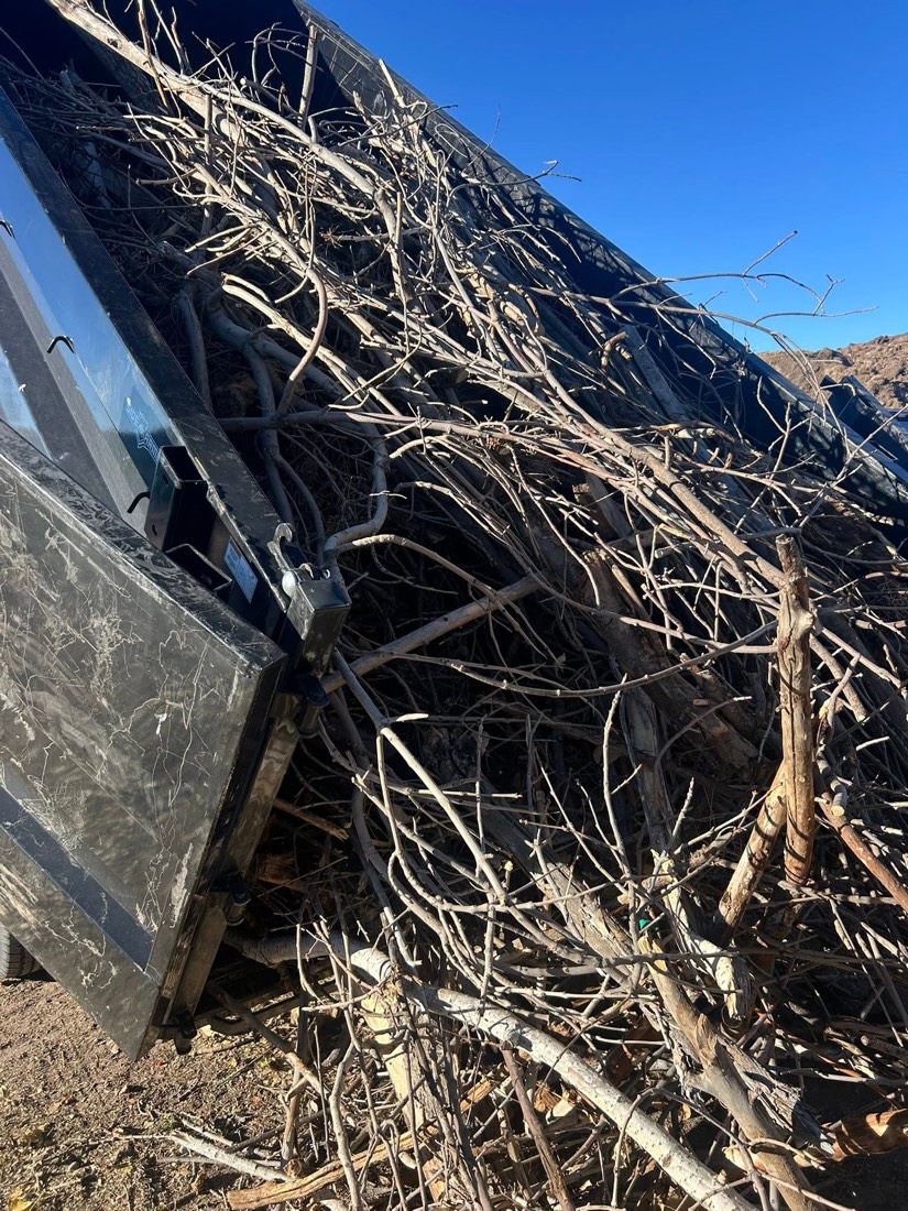 Branches packed into a dump trailer